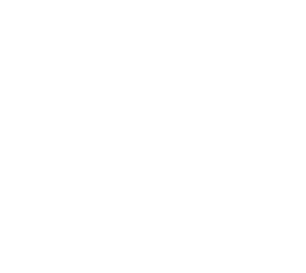 ADONIC MISR LOGO