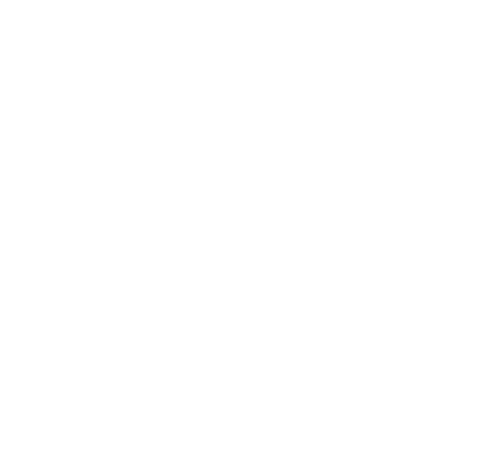BIDCO INRENATIONAL LOGO